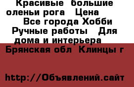 Красивые  большие оленьи рога › Цена ­ 3 000 - Все города Хобби. Ручные работы » Для дома и интерьера   . Брянская обл.,Клинцы г.